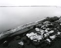 Pool 13, Upper Mississippi River Flyway