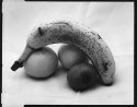 Fruit