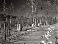 Cemetery Trail