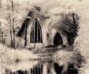 Calloway IR