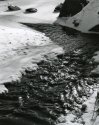 Winter Trout Stream