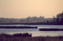 Groote Peel Nature Reserve