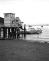 Two Harbors, Santa Catalina Island