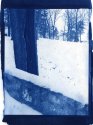 Winter 1980, My 1st Cyanotype Print