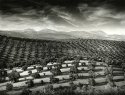 The Andalucia