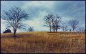 THe Broad River Hills: Comer, Ga. USA