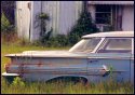 1959 Chevy-just sitting in hot sun and deterioating : 2004