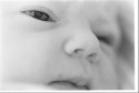 Harper Quinn Mullet -- five minutes old