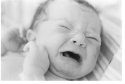 Harper Quinn Mullet -- ten minutes old