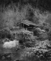 secret garden #2