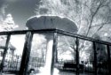 Elizabeth Park 1