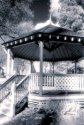 Elizabeth Park 3