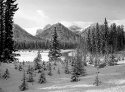 Jasper-Parkway