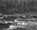 Little River, Grt Smoky Mtns Natl Park, TN