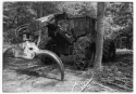Tree Harvester