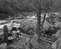 Little River, Grt Smoky Mtns Natl Park, TN