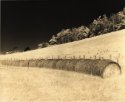 Hay Rolls and Barn; Bent Mountain