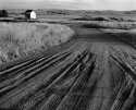 Jincumbilly siding.