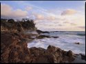 Point Perry Coolum