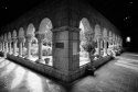 cloisters arches 19mm
