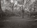 backyard 2012 2