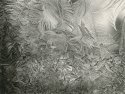 Window Frost