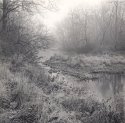 Morning Frost and Fog, Eagle Creek