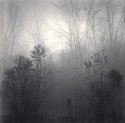 Sunrise in Fog, Eagle Creek