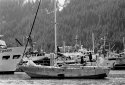 Seward Harbor