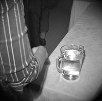 Diana F+ at an opening