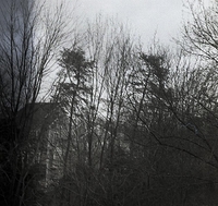 Images from graflex 22