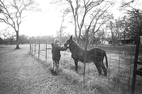 35mm Agfa Cinerex IC1N 50asa orthochromatic film