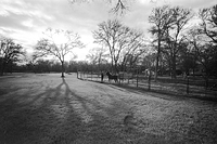 35mm Agfa Cinerex IC1N 50asa orthochromatic film