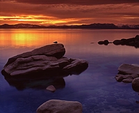 December 28 008 Fuji Velvia