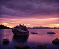 December 28 006 Fuji Velvia