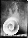 Ambrotype