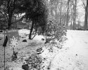 Let It Snow