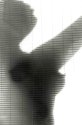 Shadaow blinds.  Should I print it Lith?