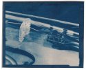 Violin Cyanotype