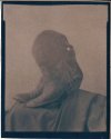 Boots Cyanotype - Toned