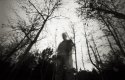 In the Company of Trees