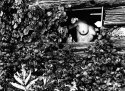 Peekabooby