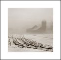 Bellevale Farm