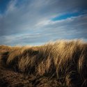 Wind
