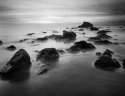 Miwok Beach 1D