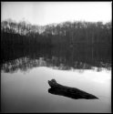 Lake Frank