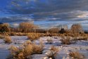 taos