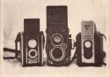 Three TLR's - Caffenol Print