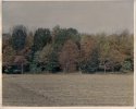 Williams Side Road - Hand Coloured
