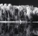 Photostock 2012 - O'Neil IR